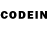 Галлюциногенные грибы GOLDEN TEACHER Side Pacer